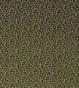 Drago Fabric by Manuel Canovas Vert Empire