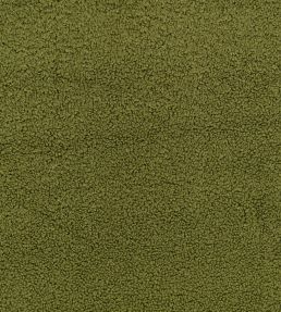 Drake Fabric by Zinc Colibri