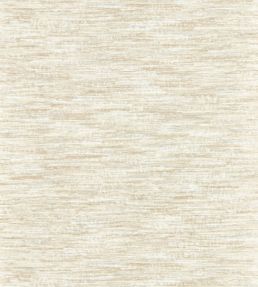 Dritto Wallpaper by Clarke & Clarke Linen