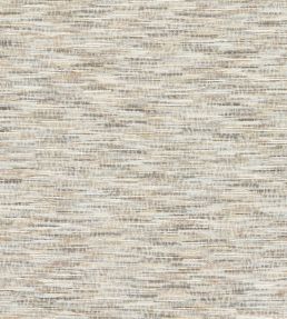 Dritto Fabric by Clarke & Clarke Slate