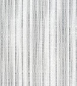 Ebro Stripe Fabric by Thibaut Domino