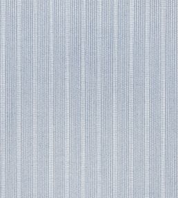 Ebro Stripe Fabric by Thibaut Horizon