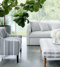 Ebro Stripe Fabric by Thibaut Horizon