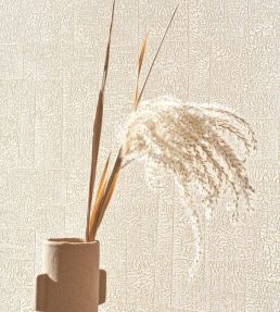 Ecume Wallpaper by Casadeco Blanc Craie