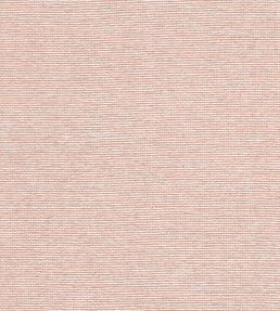 Edwards Paper Wallpaper by Thibaut Adobe
