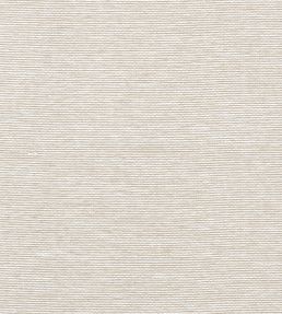 Edwards Paper Wallpaper by Thibaut Putty