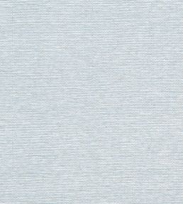 Edwards Paper Wallpaper by Thibaut Robin's Egg