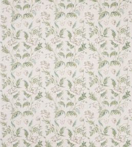 Eleanora Fabric by Colefax And Fowler Ivory/Green