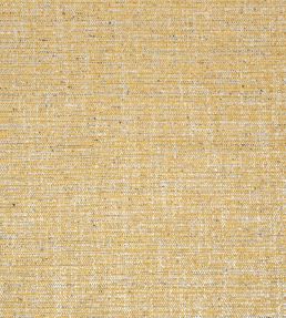 Elgin Fabric by Thibaut Dijon