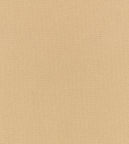 Elio FR Fabric by Romo Fudge