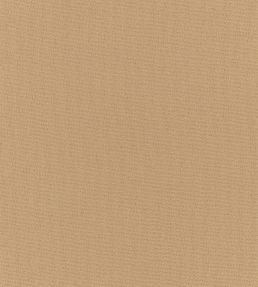 Elio FR Fabric by Romo Tamarind