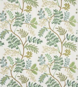 Ellerdine Fabric by Colefax and Fowler Green