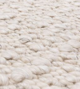 Asiatic Elm rug Ivory ELME120170IVOR Ivory