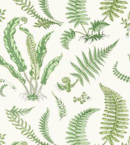 Elsie De Wolfe Wallpaper by Scalamandre Fern