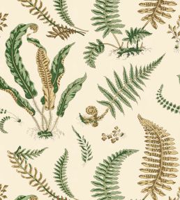 Elsie De Wolfe Wallpaper by Scalamandre Greens On Off-White