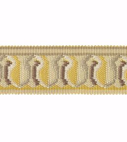 Embroidered Braid 30mm Trimming by Houles Jaune Celeste
