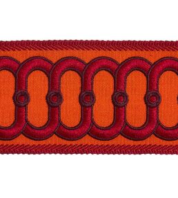 Embroidered Braid 75mm Trimming by Houles Acajou