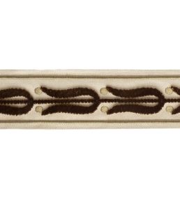 Emile Velvet Border Trimming by Samuel & Sons Laurel