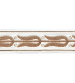 Emile Velvet Border Trimming by Samuel & Sons Parchment
