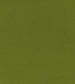 Encore Velvet Fabric by Osborne & Little Frog