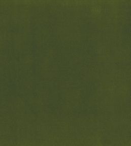 Encore Velvet Fabric by Osborne & Little Green