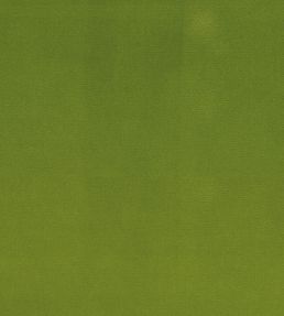 Encore Velvet Fabric by Osborne & Little Grass