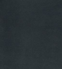 Encore Velvet Fabric by Osborne & Little Spruce