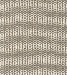 Endicott Fabric by Thibaut Fawn