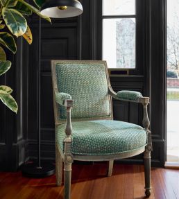 Endicott Fabric by Thibaut Pine