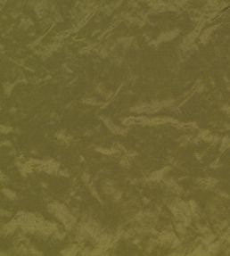Enzo Fabric by Zinc Cypress