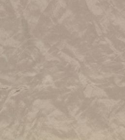 Enzo Fabric by Zinc Driftwood
