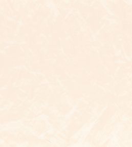 Enzo Fabric by Zinc Putty