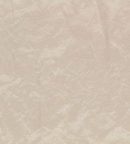 Enzo Fabric by Zinc Spacedust