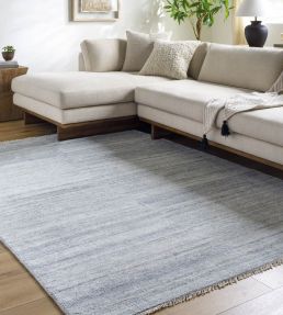 Surya Epic rug Metallic Silver-2301 EPI2301-69-US Metallic Silver-2301