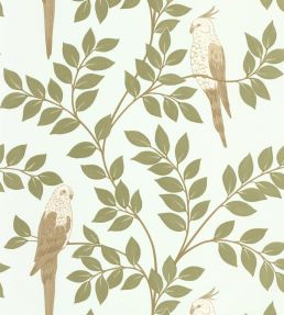 Equateur Wallpaper by Caselio Kaki Bleu