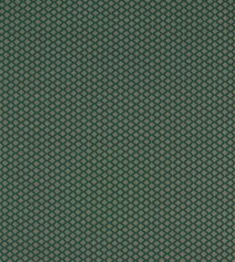Equator Fabric by Clarke & Clarke Forest