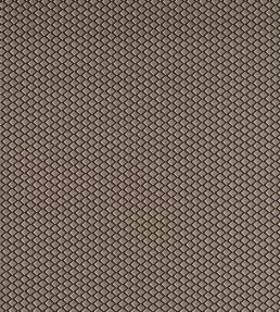 Equator Fabric by Clarke & Clarke Noir