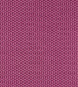 Equator Fabric by Clarke & Clarke Raspberry