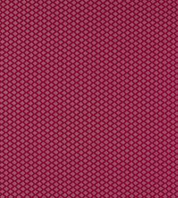 Equator Fabric by Clarke & Clarke Ruby