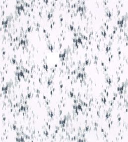 Espy Fabric by Villa Nova Carbon