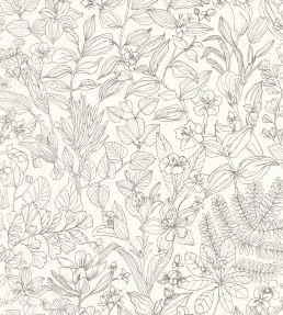 Esquisse Wallpaper by Casadeco Noir Gravure