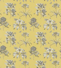 Etchings & Roses Fabric by Sanderson Empire Yellow