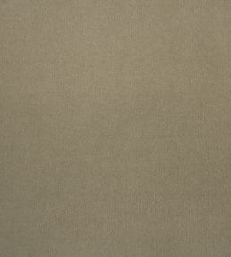 Eternal Fabric by Lizzo Taupe