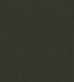 Eternal Fabric by Lizzo Seaweed