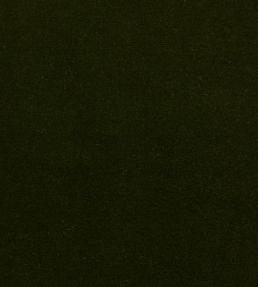 Eternal Fabric by Lizzo Dark Green