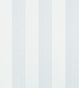 Evan Stripe Wallpaper by Thibaut Powder Blue