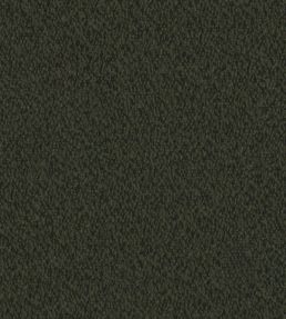 Everest Fabric by Warwick Fern