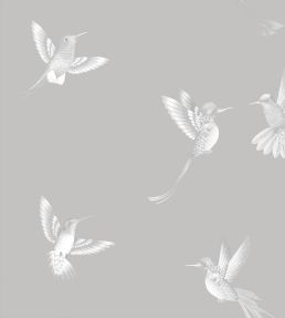 Exotic Birds Wallpaper by Brand McKenzie Concrete Grey