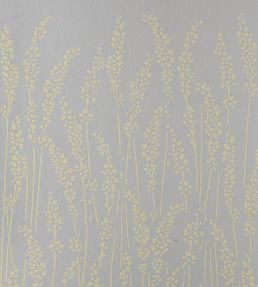 Feather Grass Mural by Farrow & Ball 4