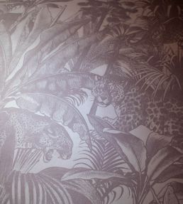 Faunacation Wallpaper by Divine Savages Bengal Blush